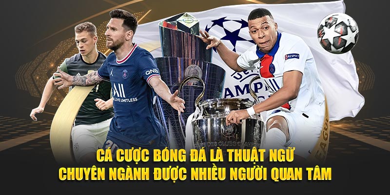 Cá cược bóng đá là thuật ngữ chuyên ngành được nhiều người quan tâm