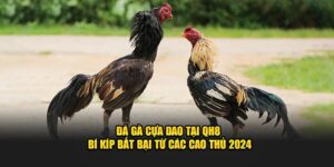 Đá Gà Cựa Dao Tại QH88 Bí Kíp Bất Bại Từ Các Cao Thủ 2024