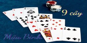 Mậu Binh Online: Hướng Dẫn Cách Chơi, Mẹo Thắng Cực Hay